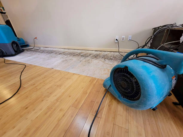 Professional Basement Flood Cleanup technician working in Harrisville, MS